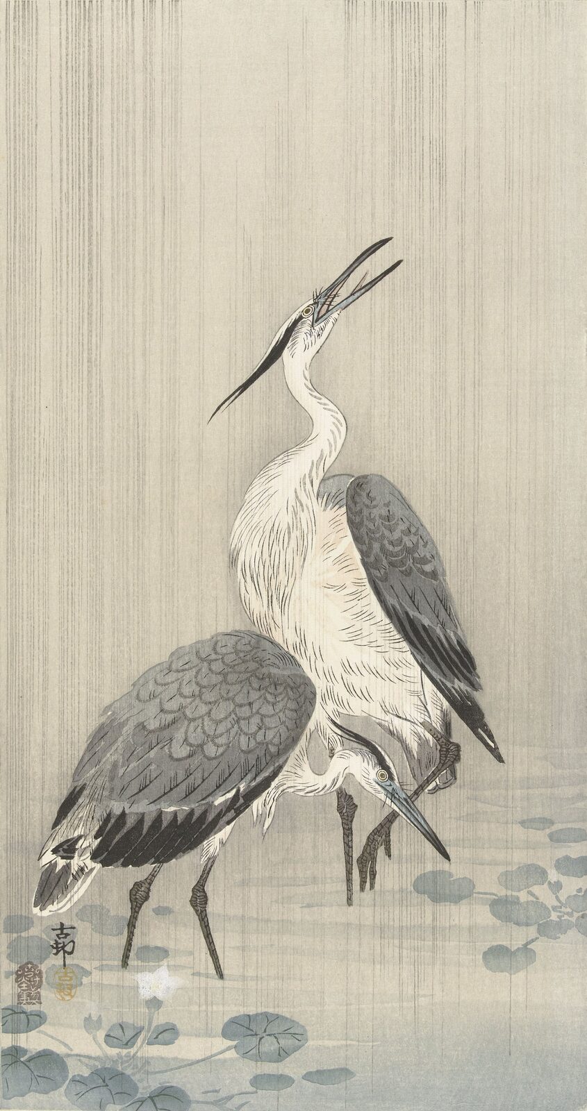 Dwie czaple w deszczu - Ohara Koson