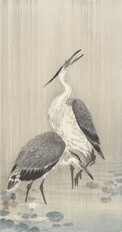 Dwie czaple w deszczu - Ohara Koson