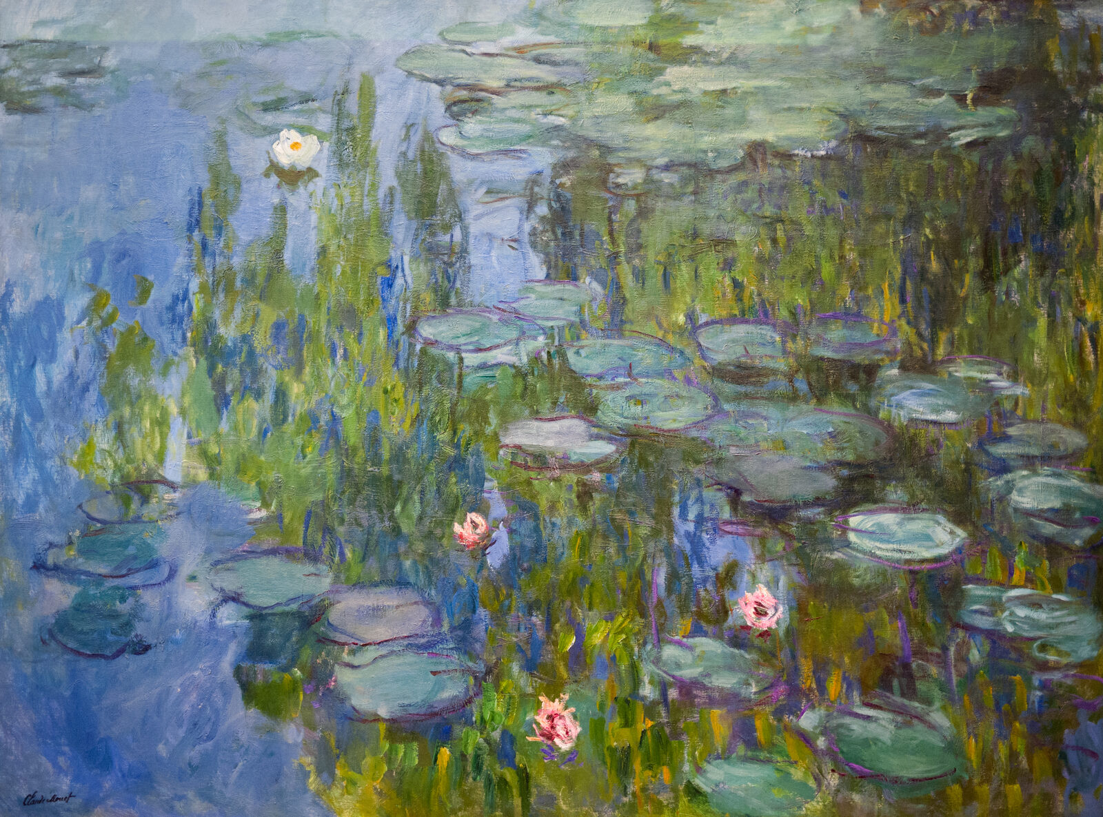 Lilie wodne - Claude Monet