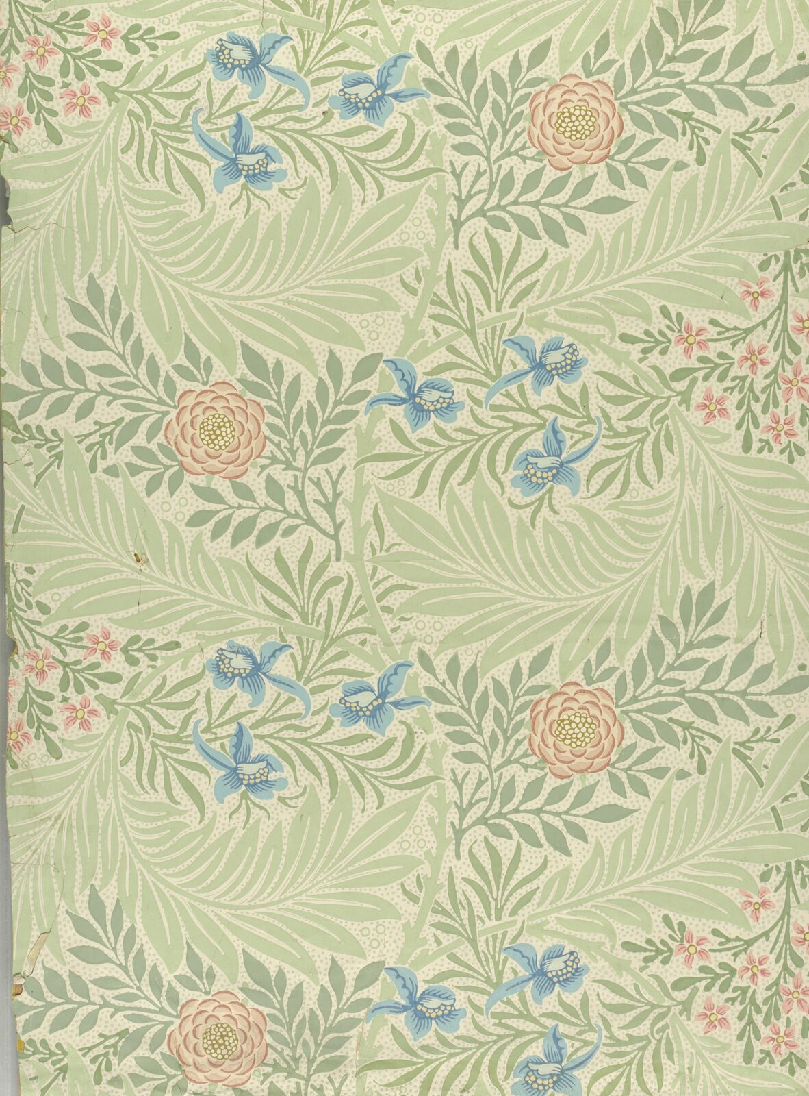 Ostróżka (Larkspur) - William Morris