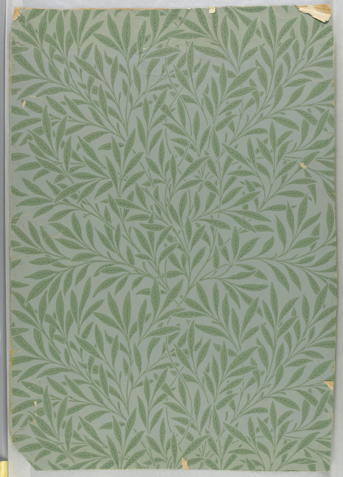 Wierzba - William Morris