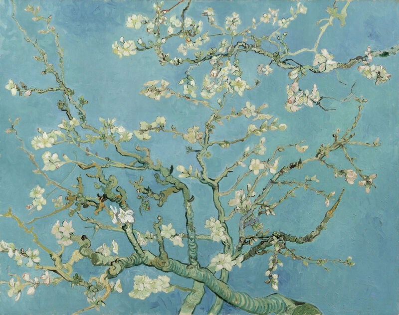 Kwitnący migdałowiec - Vincent van Gogh