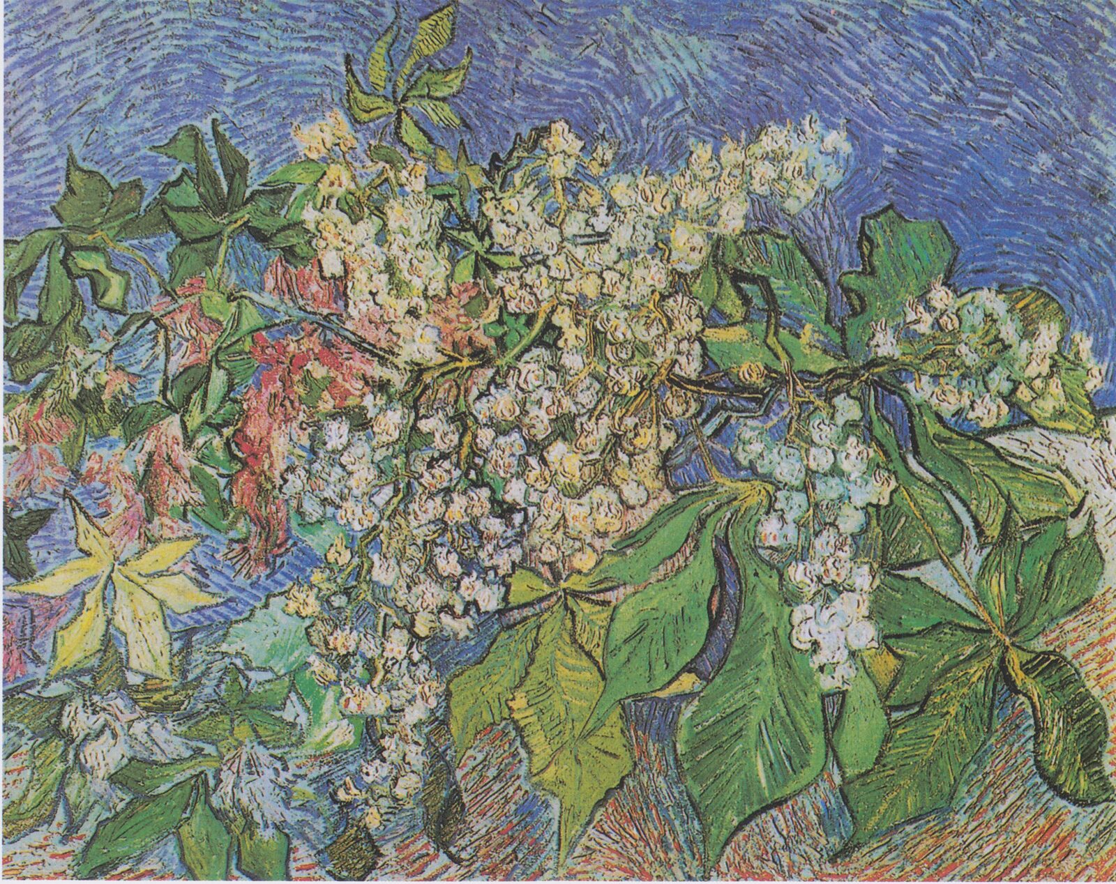 Kwitnące gałęzie kasztanowca - Vincent van Gogh