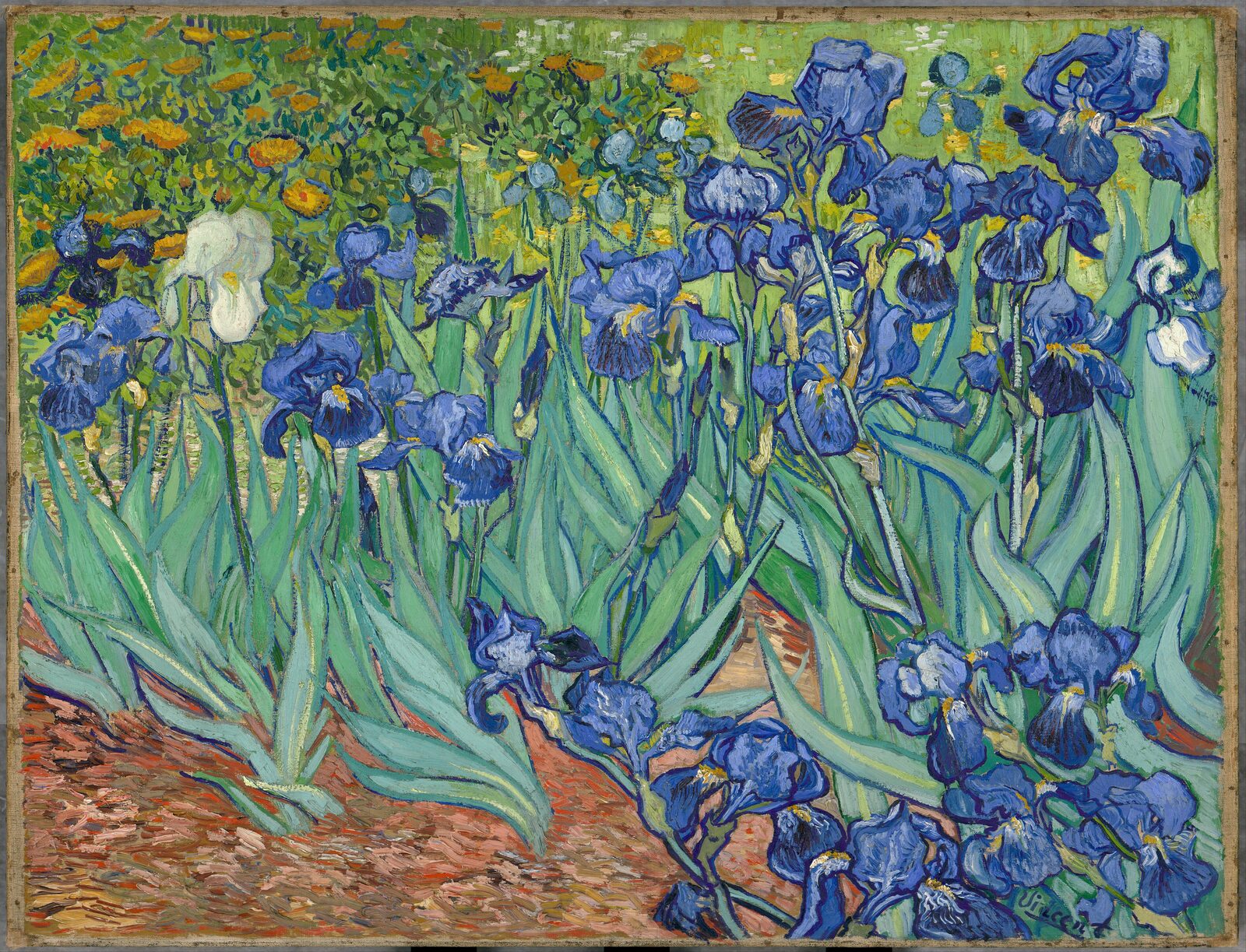 Irysy - Vincent van Gogh