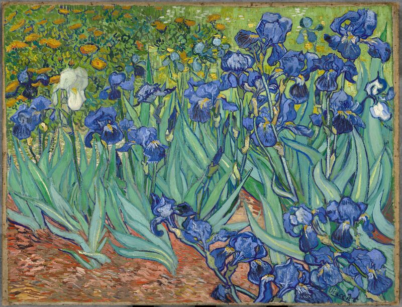 Irysy - Vincent van Gogh
